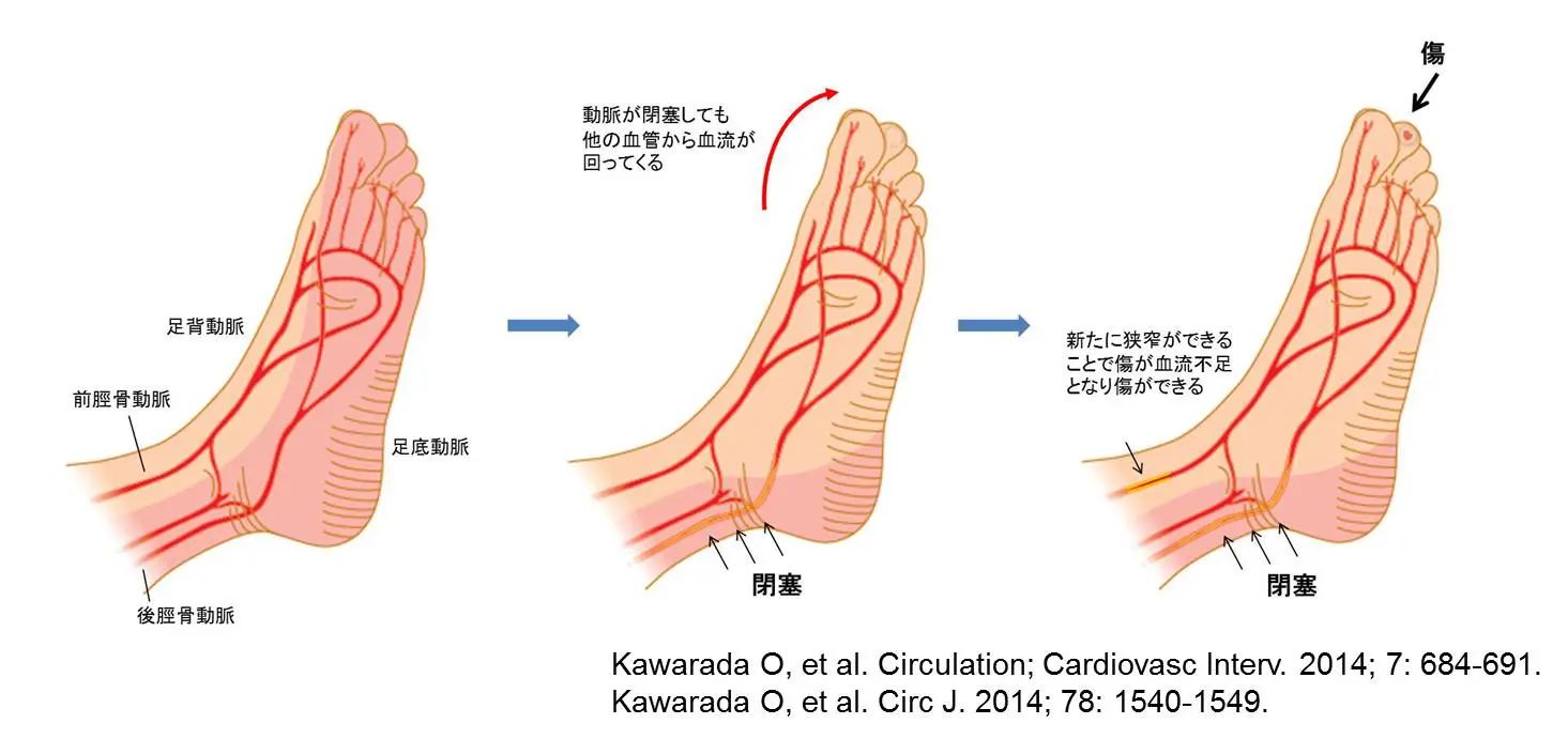 医学医療貢献 | かわらだ心臓足血管クリニック